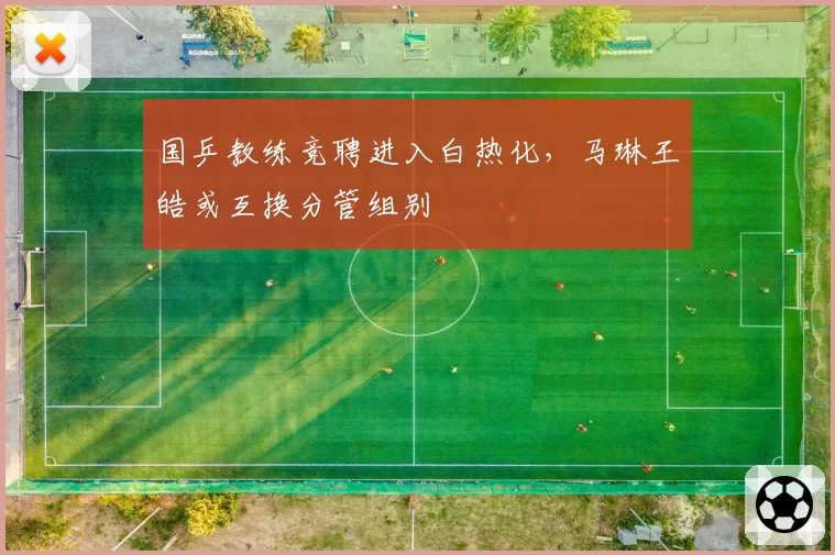 国乒教练竞聘进入白热化，马琳王皓或互换分管组别