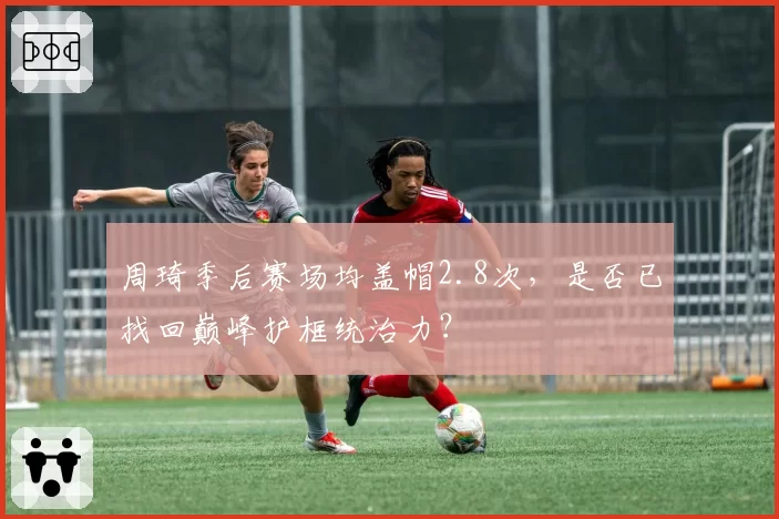 周琦季后赛场均盖帽2.8次,是否已找回巅峰护框统治力?