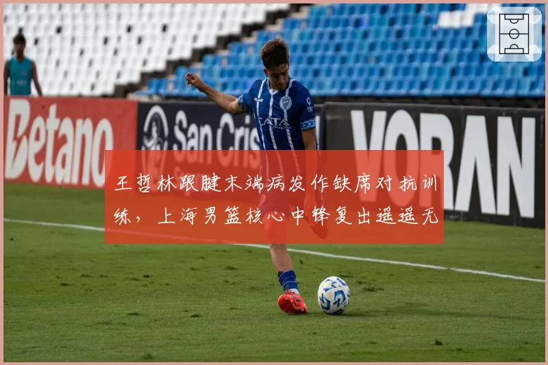 王哲林跟腱末端病发作缺席对抗训练,上海男篮核心中锋复出遥遥无期?