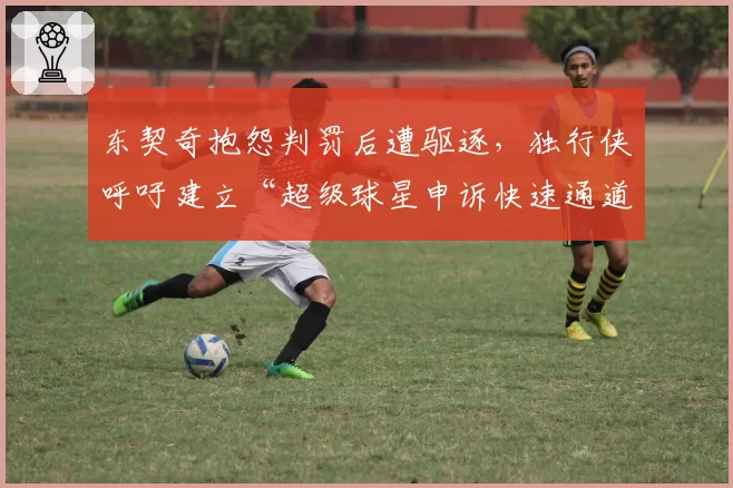 东契奇抱怨判罚后遭驱逐,独行侠呼吁建立“超级球星申诉快速通道”