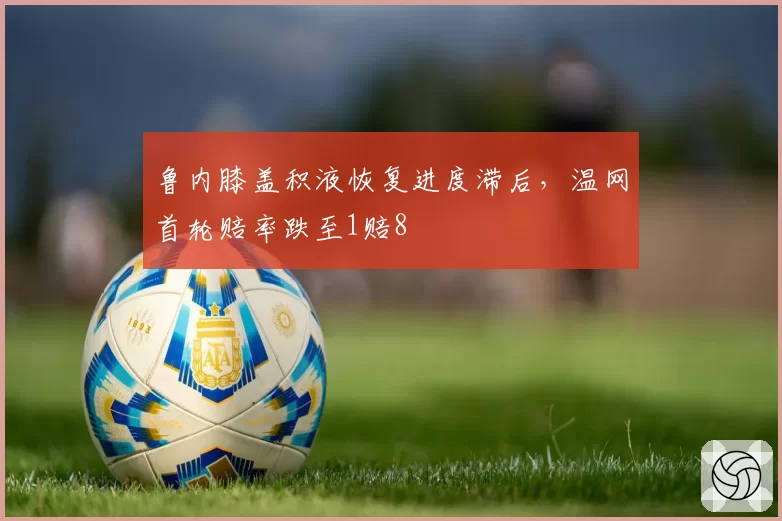 鲁内膝盖积液恢复进度滞后，温网首轮赔率跌至1赔8